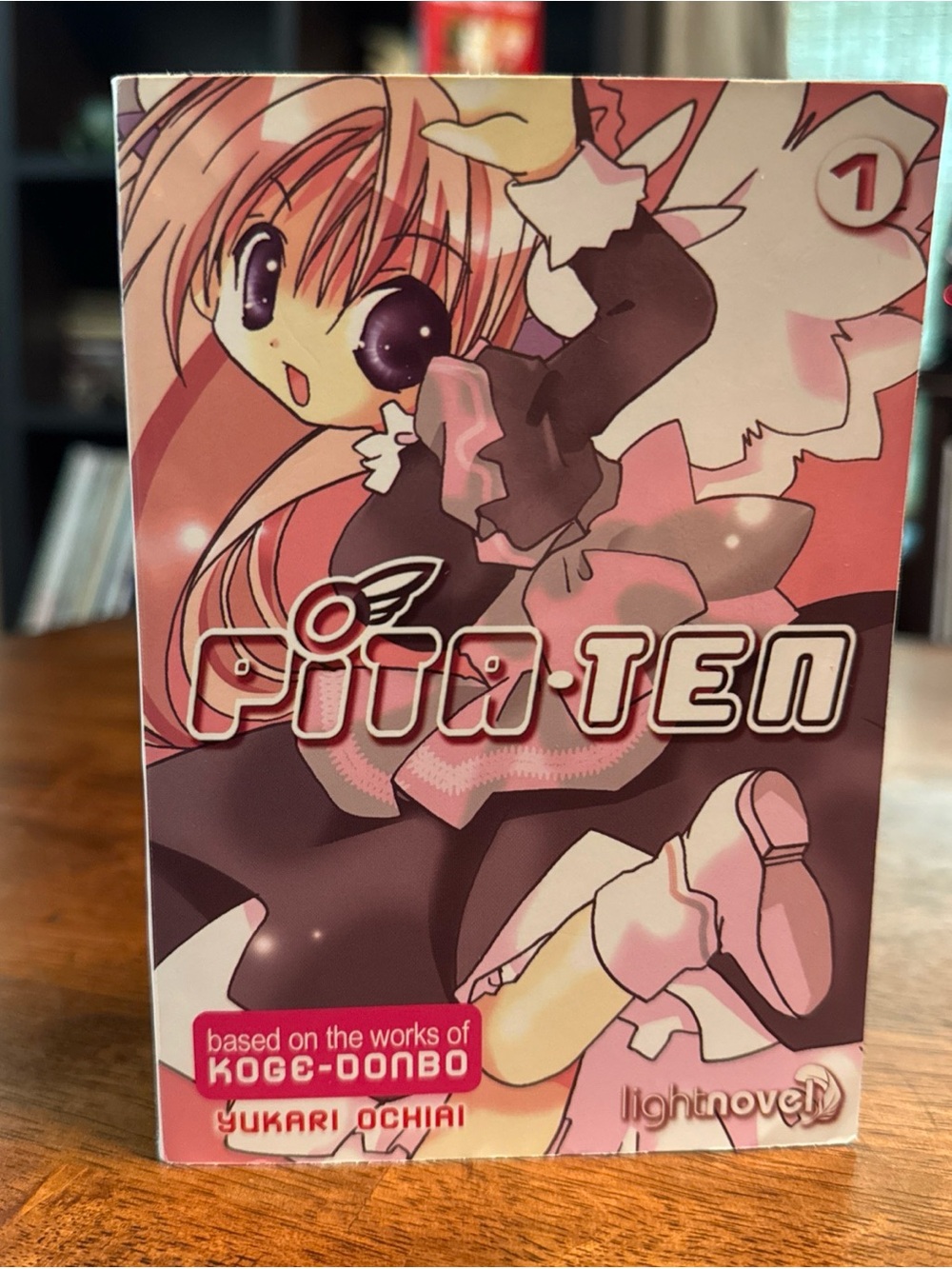 PITA-TEN: THE LIGHT NOVEL V. 1 (PITA-TEN (SEVEN SEAS)) By Yukari Ochiai